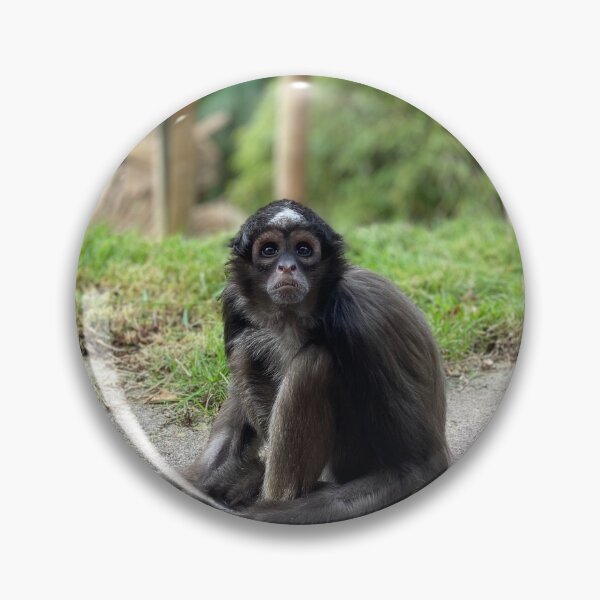 Item preview, Variegated spider monkey designed and sold by Nadiagould.