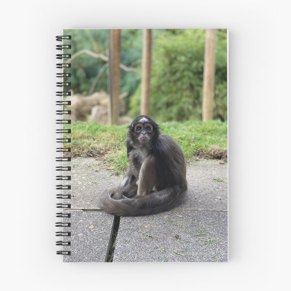 Item preview, Variegated spider monkey designed and sold by Nadiagould.