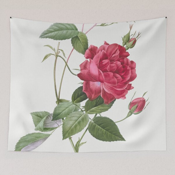 Item preview, Les Roses by Pierre-Joseph Redouté designed and sold by EsotericBotanic.