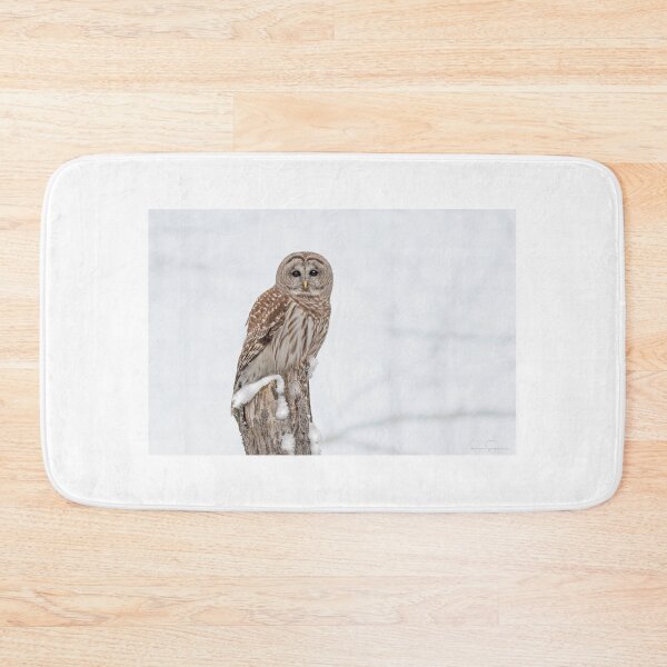 Item preview, Barred Owl on the hunt. designed and sold by Simpsonwildlife.