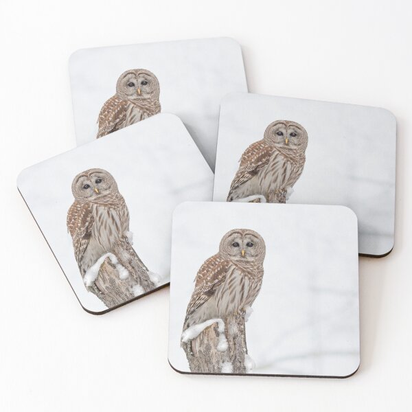 Item preview, Barred Owl on the hunt. designed and sold by Simpsonwildlife.