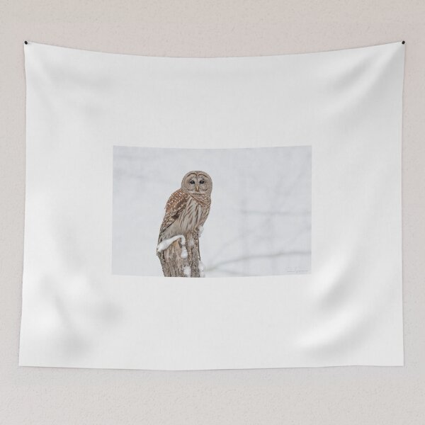 Item preview, Barred Owl on the hunt. designed and sold by Simpsonwildlife.