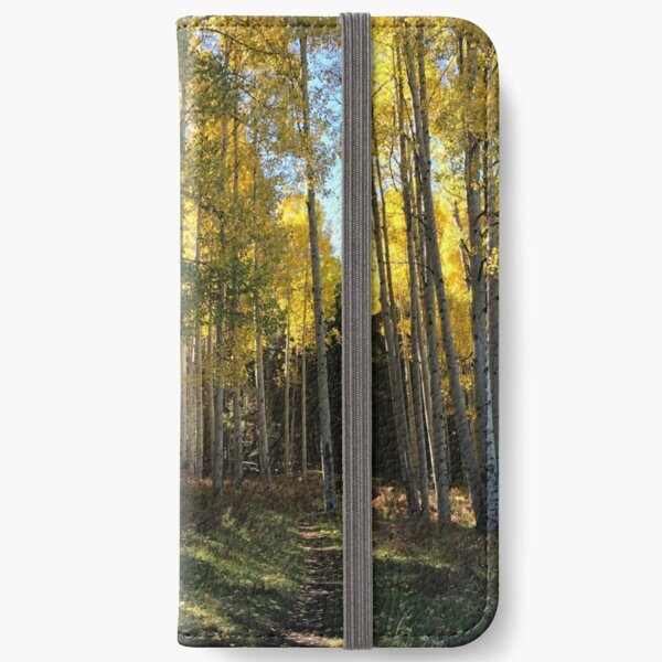 Aspen Trail from Forest Peak Retreat - From ccnow.info iPhone Wallet