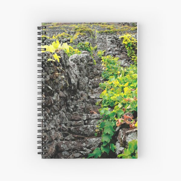 Item preview, Vineyards in Azores islands designed and sold by Gaspar Avila.