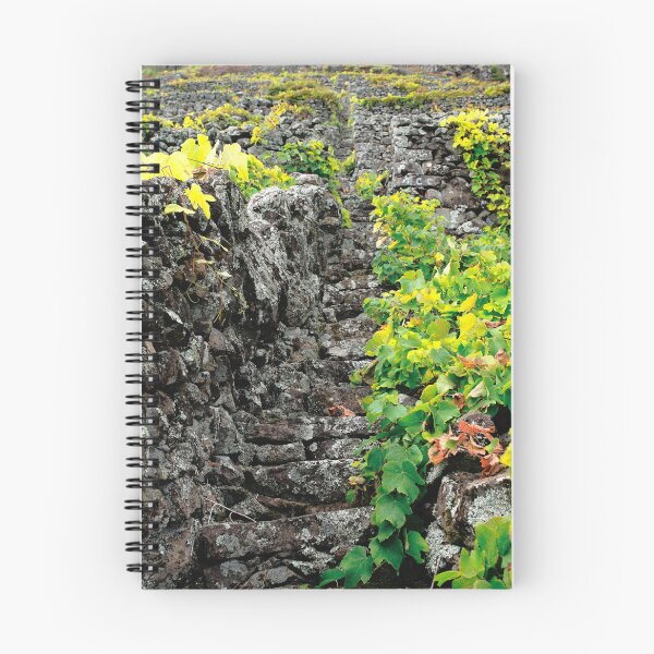 Item preview, Vineyards in Azores islands designed and sold by Gaspar Avila.