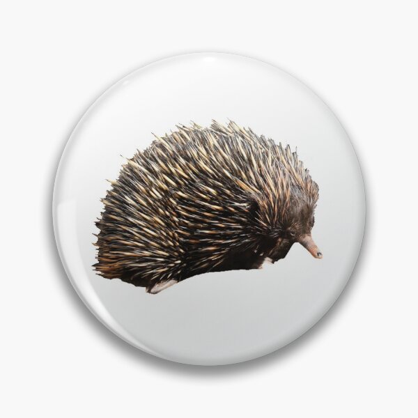 Item preview, Short beaked echidna designed and sold by Nadiagould.