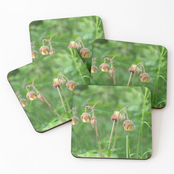 Item preview, wild flowers of Geum Rivale on long curved stems close-up designed and sold by mrivserg.