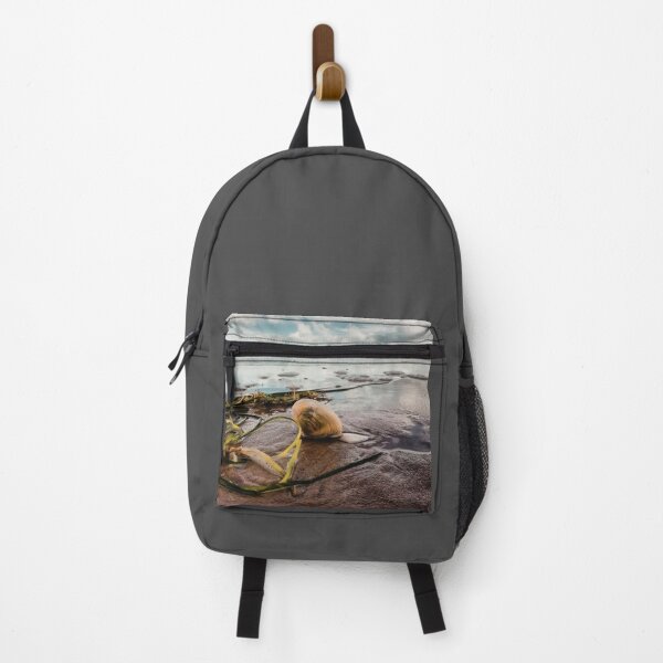 Item preview, Nature photography beach sea shell Baltic Sea designed and sold by Aline22.