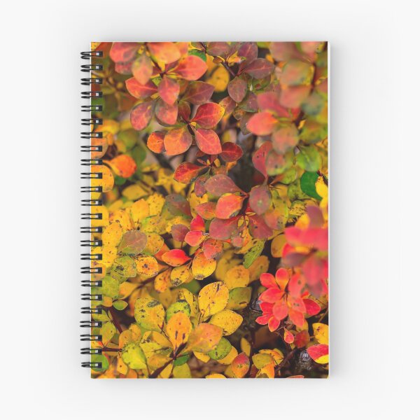 Item preview, Autumn background of barberry bush designed and sold by lena-maximova.