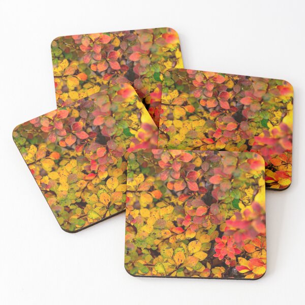 Item preview, Autumn background of barberry bush designed and sold by lena-maximova.