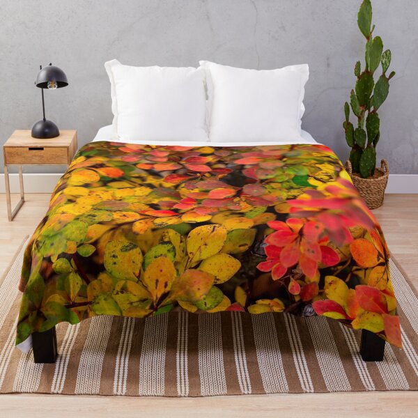 Item preview, Autumn background of barberry bush designed and sold by lena-maximova.