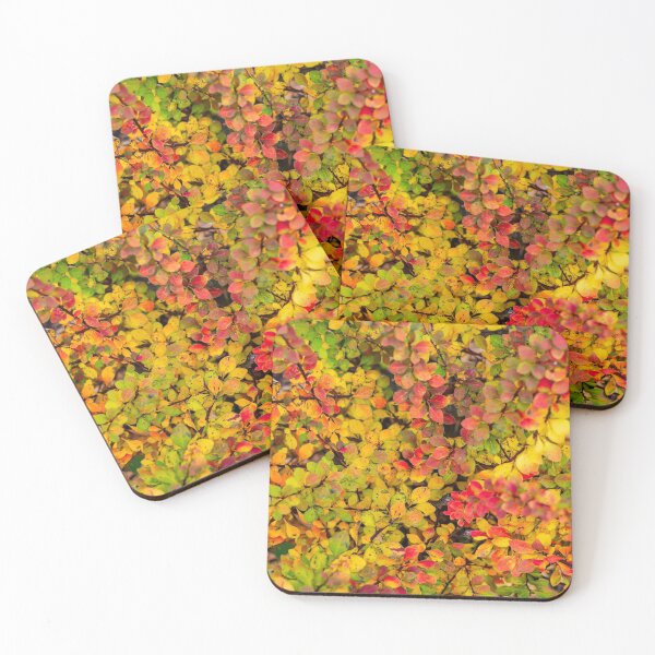 Item preview, Red and yellow barberry leaves in autumn designed and sold by lena-maximova.