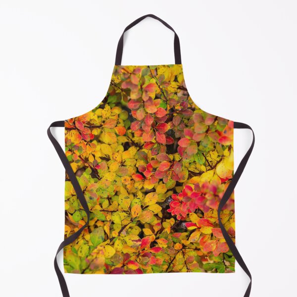 Item preview, Red and yellow barberry leaves in autumn designed and sold by lena-maximova.