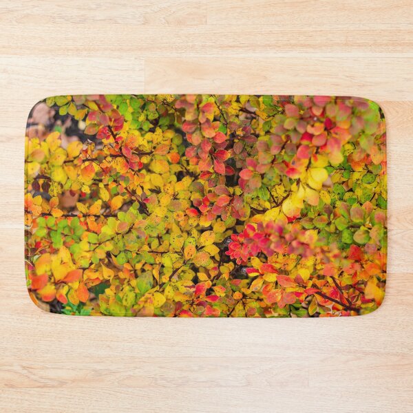 Item preview, Red and yellow barberry leaves in autumn designed and sold by lena-maximova.