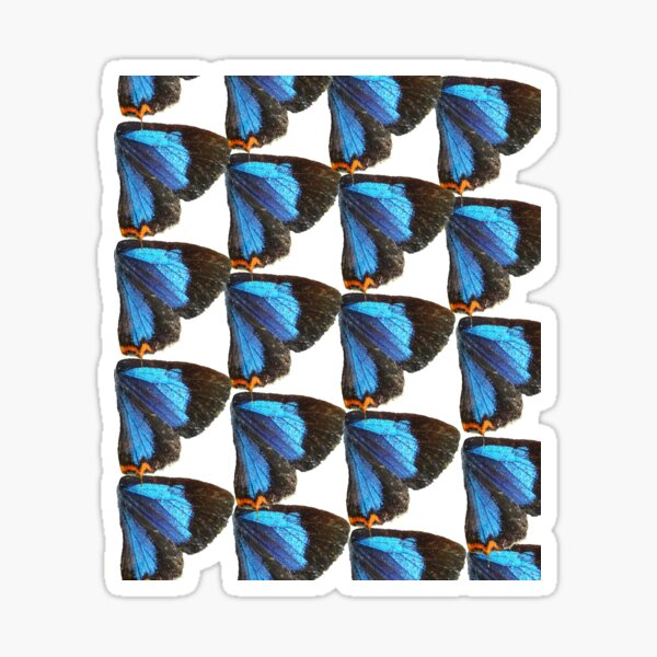 Butterfly wings-abstract pattern 3 Sticker