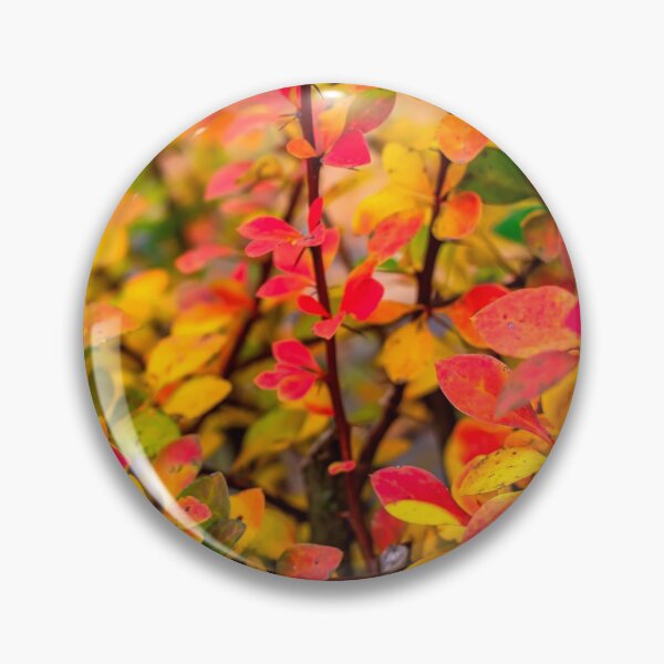 Item preview, Orange red yellow green Berberis leaves background designed and sold by lena-maximova.
