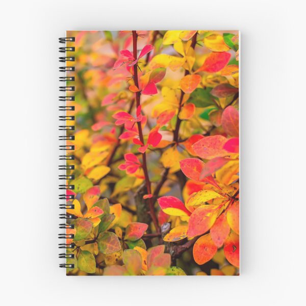 Item preview, Orange red yellow green Berberis leaves background designed and sold by lena-maximova.