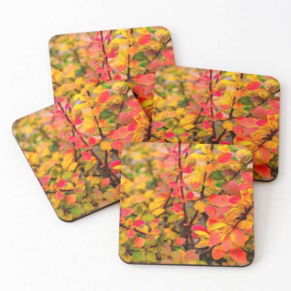 Item preview, Orange red yellow green Berberis leaves background designed and sold by lena-maximova.
