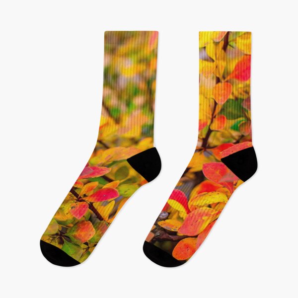 Item preview, Orange red yellow green Berberis leaves background designed and sold by lena-maximova.