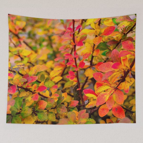 Item preview, Orange red yellow green Berberis leaves background designed and sold by lena-maximova.
