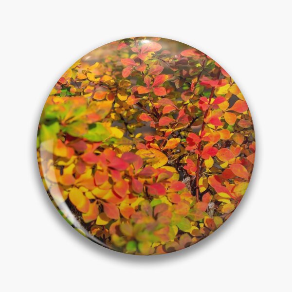 Item preview, Orange red yellow green Berberis leaves background designed and sold by lena-maximova.