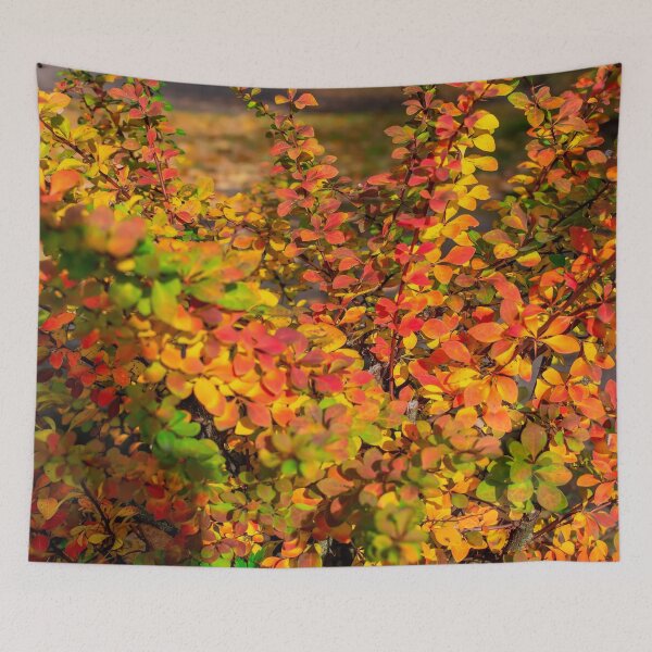 Item preview, Orange red yellow green Berberis leaves background designed and sold by lena-maximova.