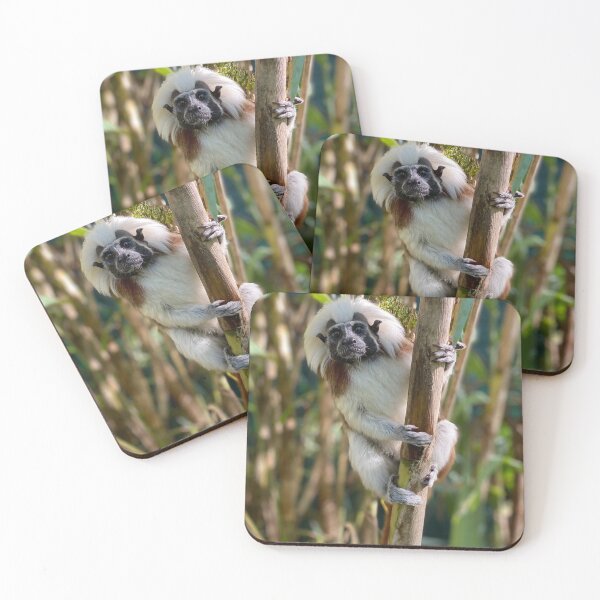 Item preview, Cotton top tamarin designed and sold by Nadiagould.
