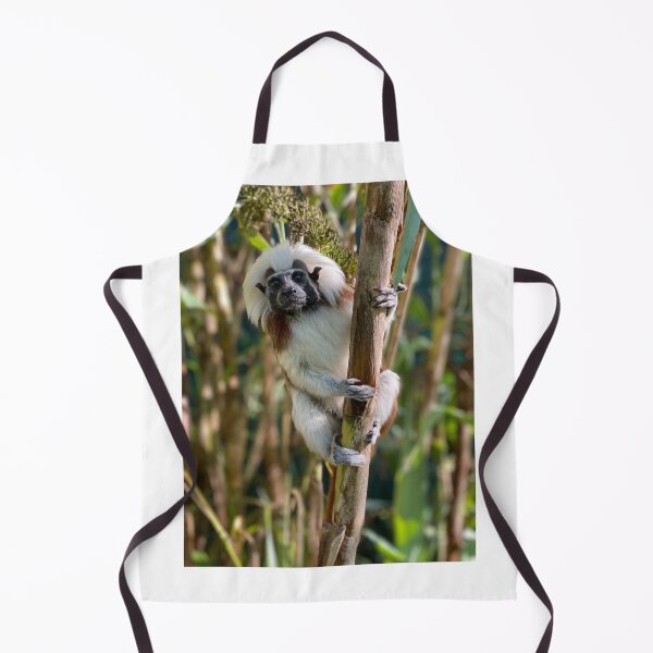 Item preview, Cotton top tamarin designed and sold by Nadiagould.