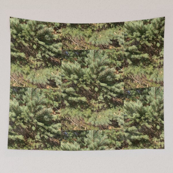 Item preview, Evergreens  designed and sold by Amanda1775.