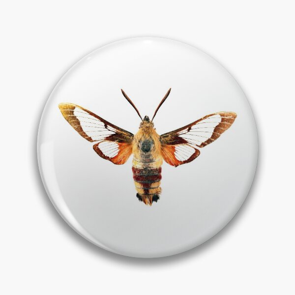 Item preview, Hummingbird Clearwing moth (Hemaris thysbe) designed and sold by Tim Christensen.