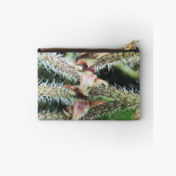 Item preview, prickly plant designed and sold by CanDo20.