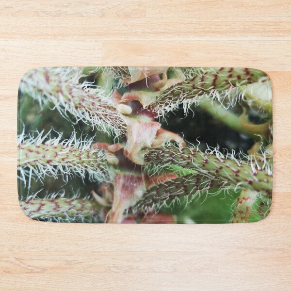 Item preview, prickly plant designed and sold by CanDo20.