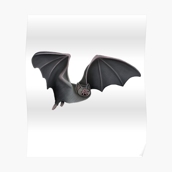 albino vampire bat plush