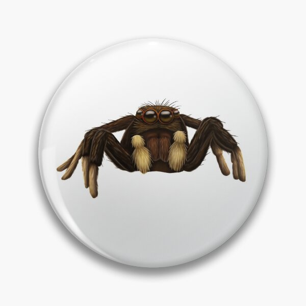 Item preview, Cute Jumping Spider designed and sold by troyanthonyart.