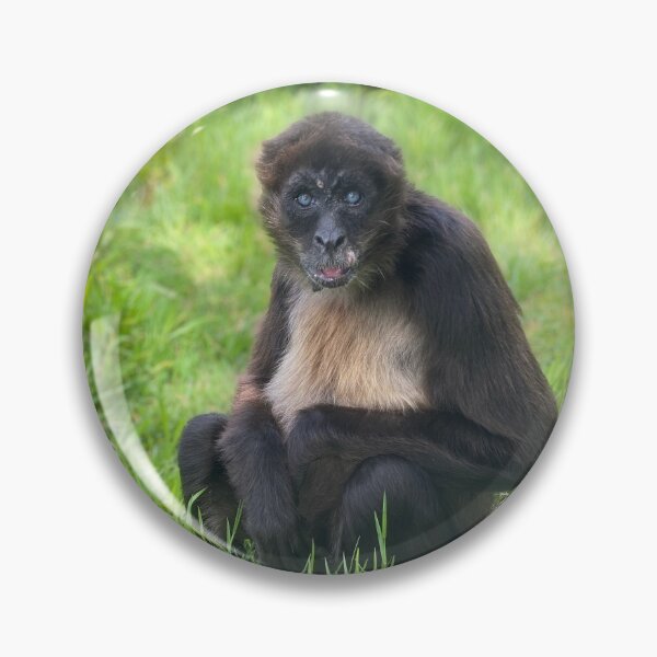 Item preview, Variegated spider monkey designed and sold by Nadiagould.