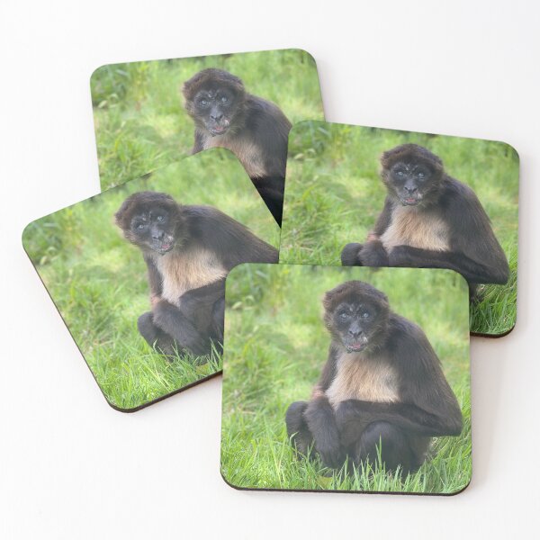 Item preview, Variegated spider monkey designed and sold by Nadiagould.