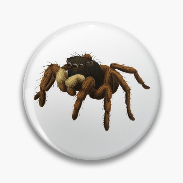 Item preview, Copy of Cute Jumping Spider designed and sold by troyanthonyart.