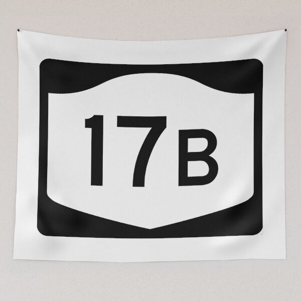 Item preview, New York State Road 17B designed and sold by cgc423.