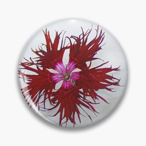 Item preview, Single Dianthus Flower. designed and sold by Billlee.