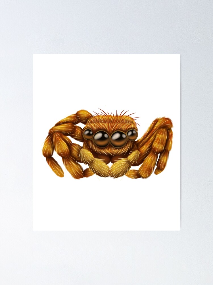 Art Poster Lucas the Spider