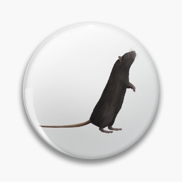 Item preview, Black Rat  designed and sold by troyanthonyart.