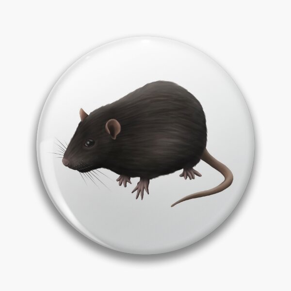 Item preview, Black Rat  designed and sold by troyanthonyart.