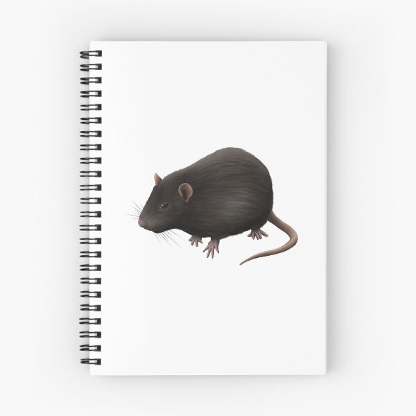 Item preview, Black Rat  designed and sold by troyanthonyart.