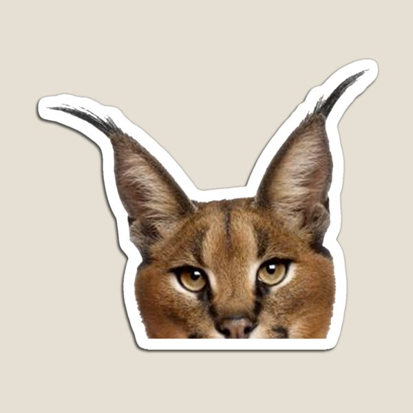 Baby Floppa meme Big floppa caracal Poster for Sale by giftycat