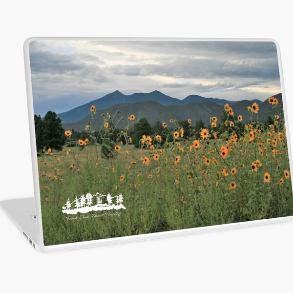 Sunflowers from Forest Peak Retreat - From ccnow.info Laptop Skin