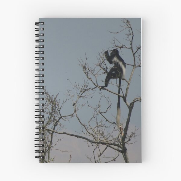 Item preview, Black and white colobus designed and sold by Nadiagould.