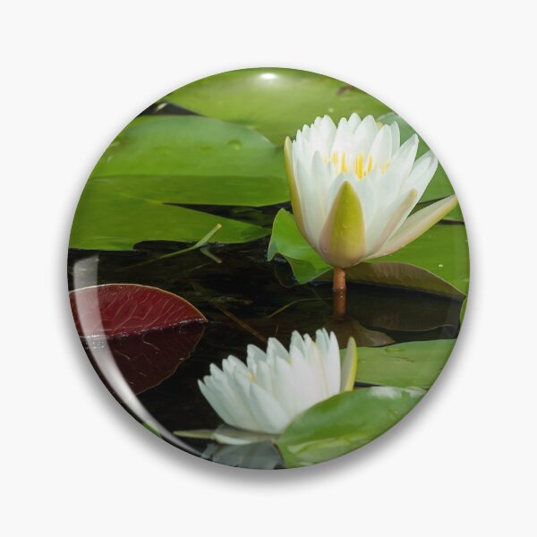 Item preview, White Water Lillies Among Giant Lilly Pads designed and sold by KbytesOfJax Outdoor and Nature.