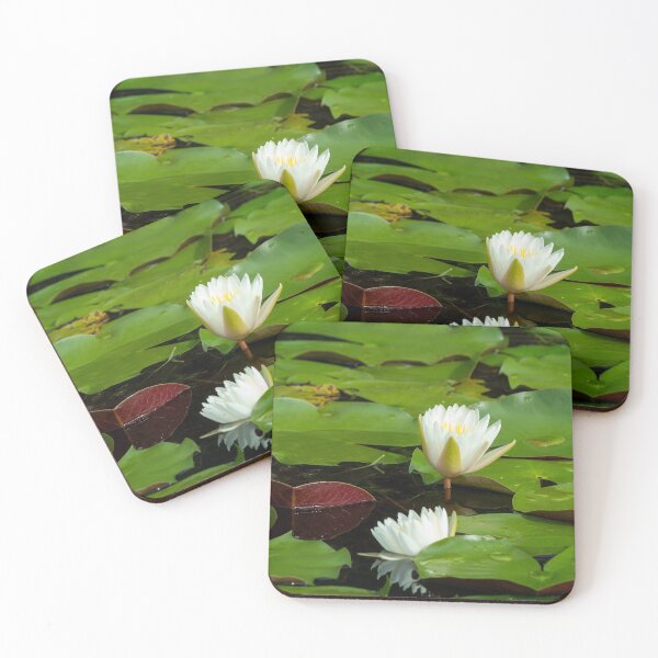 Item preview, White Water Lillies Among Giant Lilly Pads designed and sold by KbytesOfJax Outdoor and Nature.