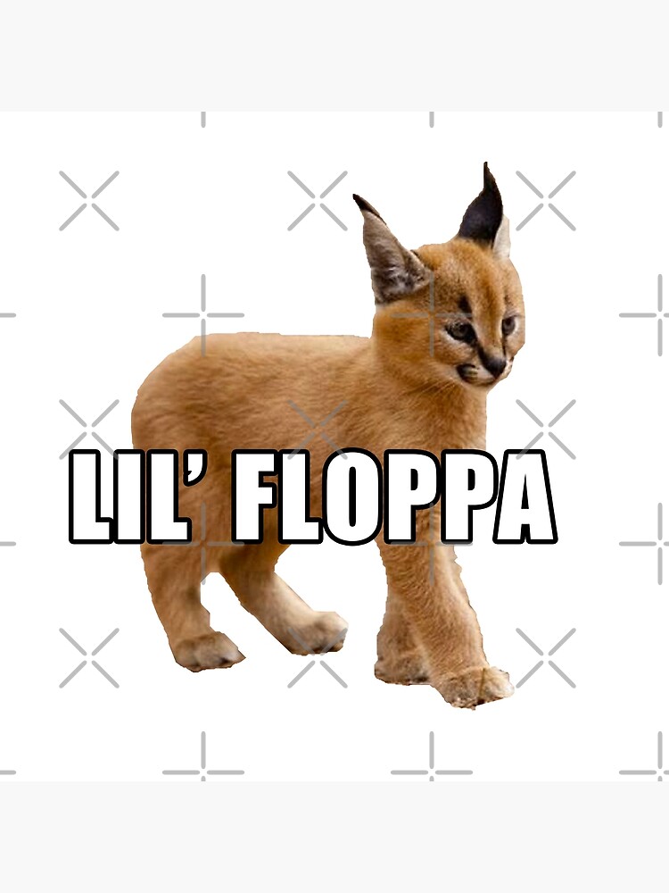 New floppa meme template : r/bigfloppa