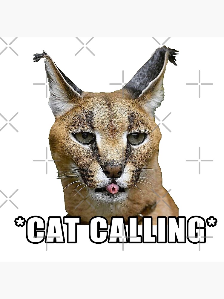 Big Floppa Is Calling Funny Caracal Big Cat Meme Poster